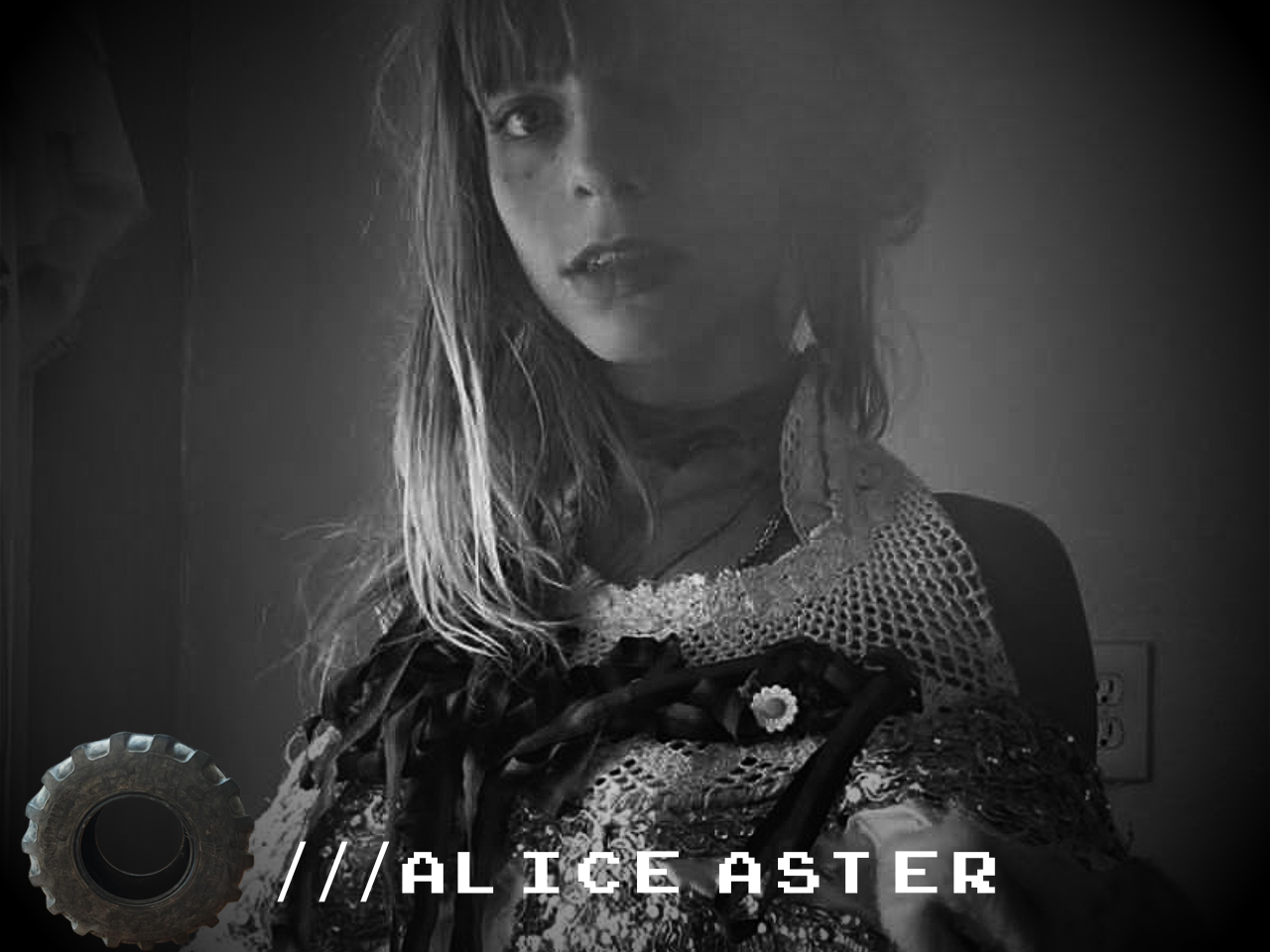 Alice Aster